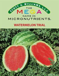 2017watermelon-trials
